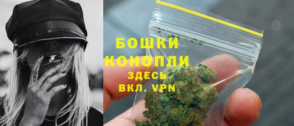 прущие грибы Новозыбков